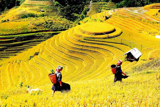 Lào Cai đón trên 155.000 lượt khách du lịch dịp nghỉ Tết Dương lịch 2024