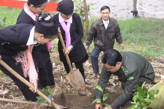 Lào Cai đứng đầu cả nước thực hiện Đề án “Trồng một tỷ cây xanh giai đoạn 2021 - 2025”