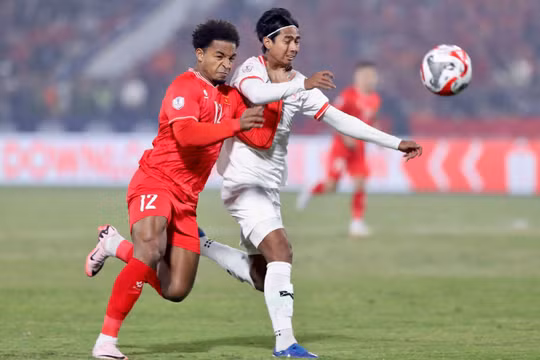 Bất ngờ giá vé xem trận Việt Nam đá bán kết AFF Cup 2024