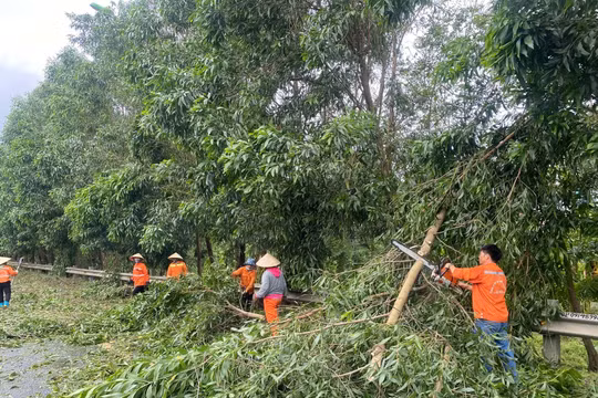 Hà Nội: Nỗ lực khắc phục các sự cố về hạ tầng giao thông do bão số 3 gây ra