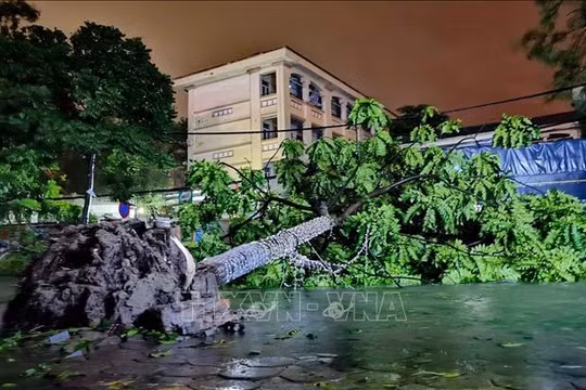 Thiệt hại nặng nề sau bão số 3