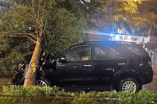 Cây xanh gãy đổ đè trúng ô tô, tài xế ngất xỉu