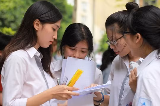 Đề thi tốt nghiệp THPT 2024 môn Sinh học, mã đề 205