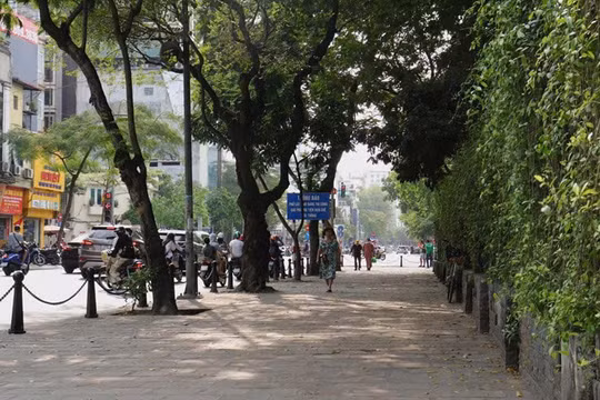 Hà Nội: Điều chỉnh giao thông phố Quốc Tử Giám để thi công đường sắt đô thị