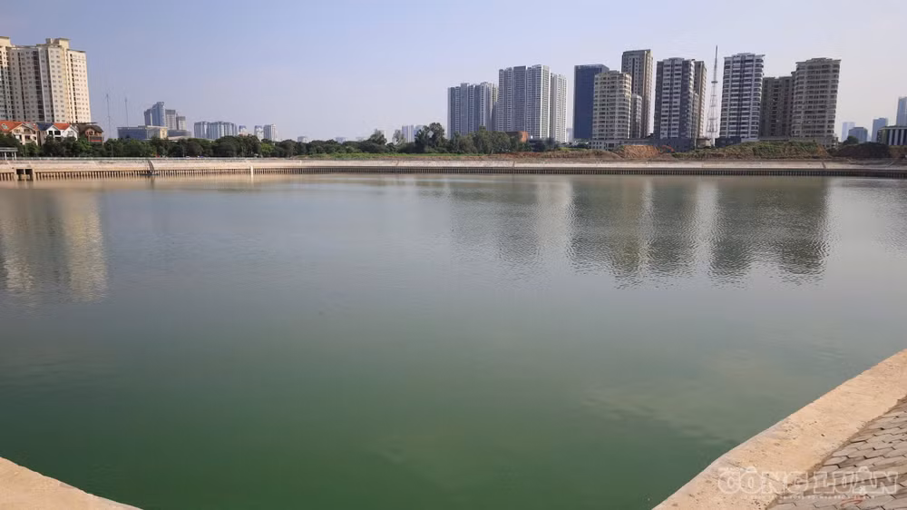 clo_br_z8136471487776-5d0544bdcfd3218c6a56dbb90e64ad66.jpg