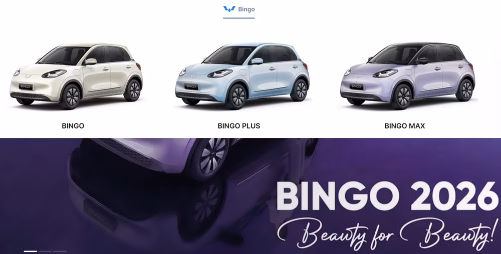 Danh mục sản phẩm Wuling chỉ còn hiển thị duy nhất mẫu xe Bingo - Ảnh chụp màn hình