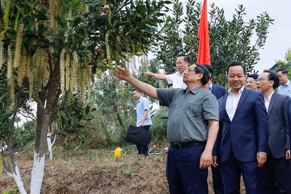 Thủ tướng Phạm Minh Chính: Cần biến núi rừng Tây Bắc trùng điệp thành của cải vật chất- Ảnh 2.