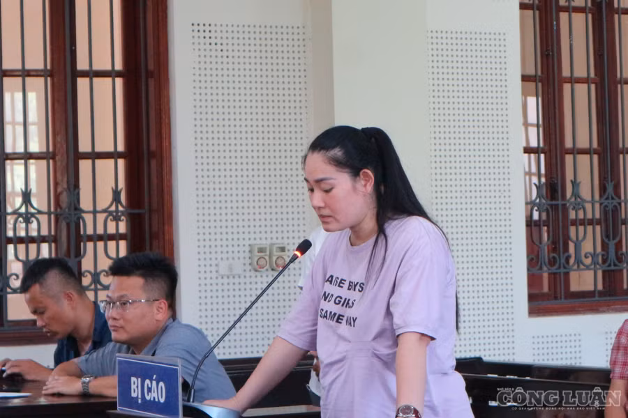 Thiếu phụ lừa giúp vay vốn ngân hàng, chiếm đoạt tiền tỷ