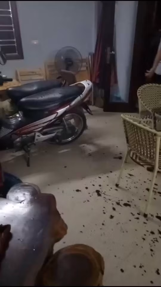 Chất bẩn tung tóe khắp nhà