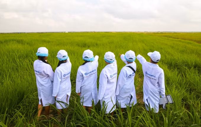 Những vị khách sữa học đường 
