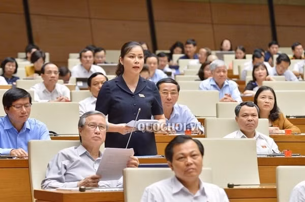 Đại biểu Bạch Thị Hương Thủy, Đoàn đại biểu Quốc hội tỉnh Hòa Bình phát biểu. Ảnh: Cổng TTĐT Quốc hội
