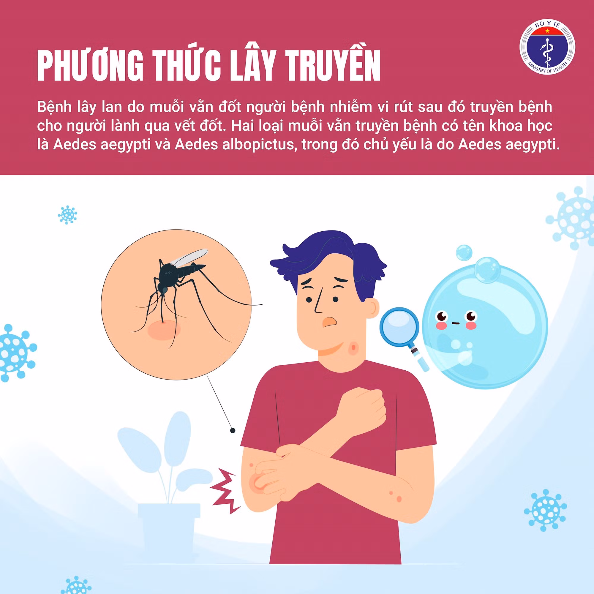 sốt xuất huyết-03
