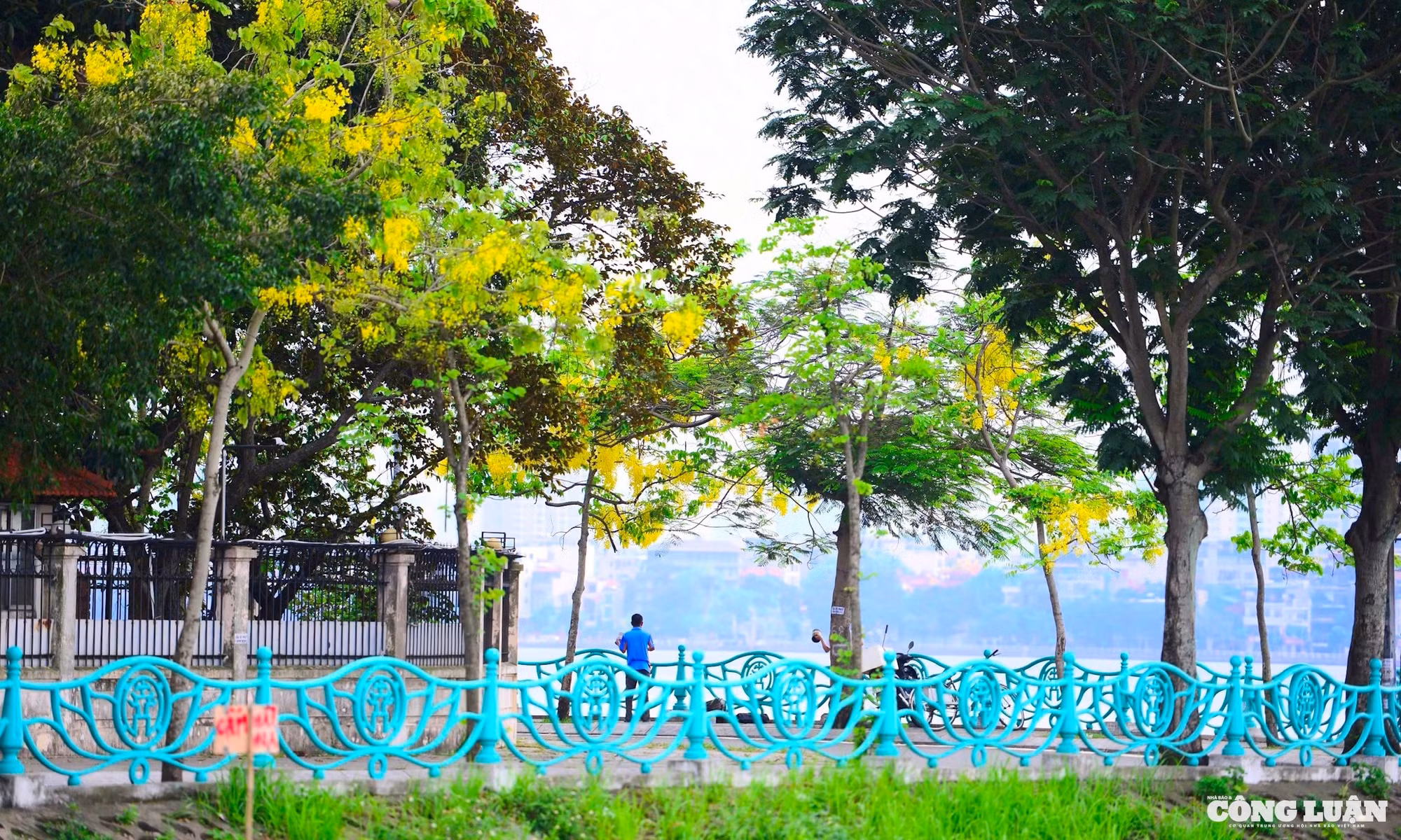 f2cf1098-8cfb-4317-81bc-221516d2dd69_1_201_a.jpeg