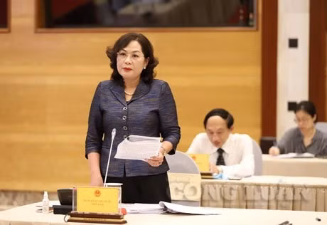 Phó Thống đốc Ngân hàng Nhà nước Nguyễn Thị Hồng.