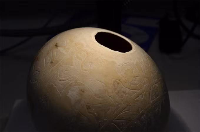 Vỏ trứng rất dày- Ảnh: ancient-origins.