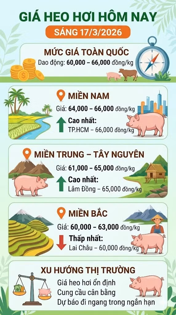 giaheohoi173.jpg