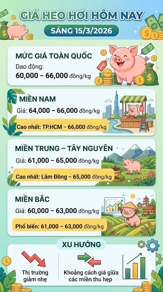 giaheohoi153.jpg