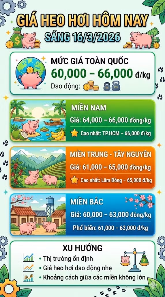 giaheohoi163.jpg