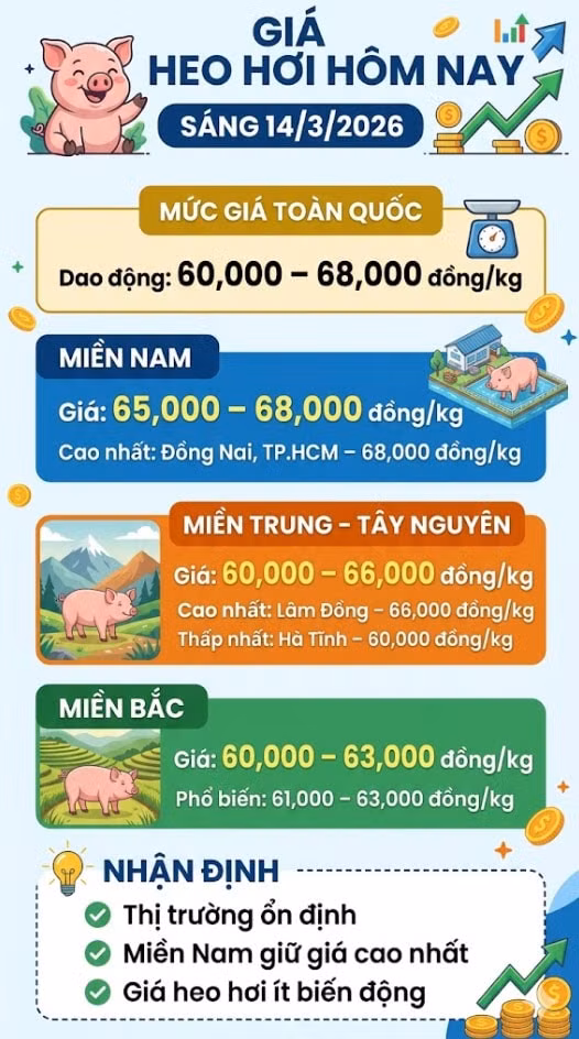 giaheohoi143.jpg