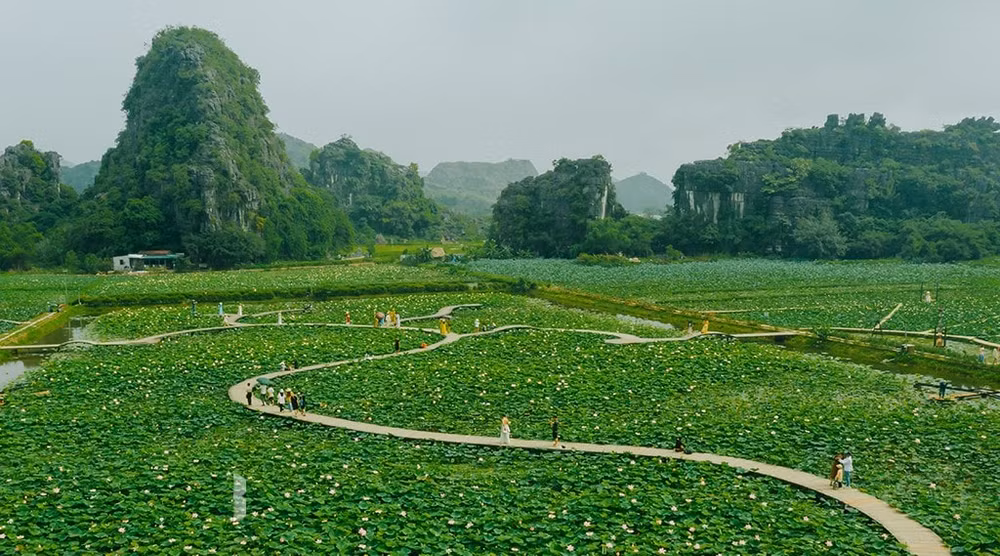 ninh.jpg