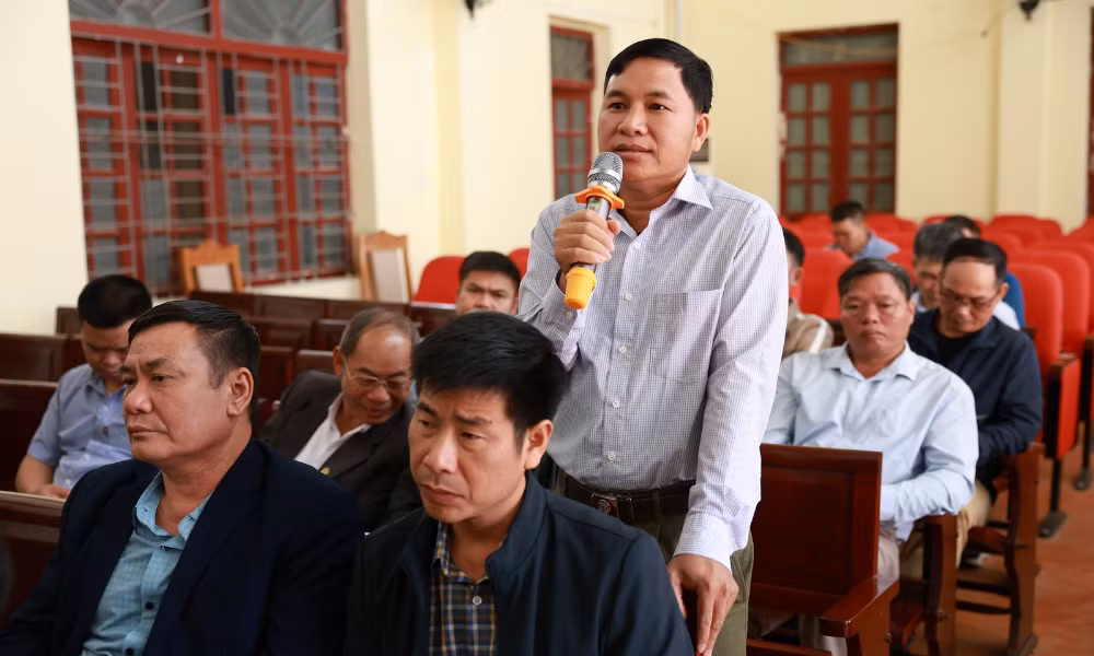 mai sơn 2