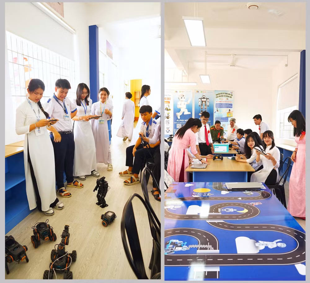 stem14.jpg