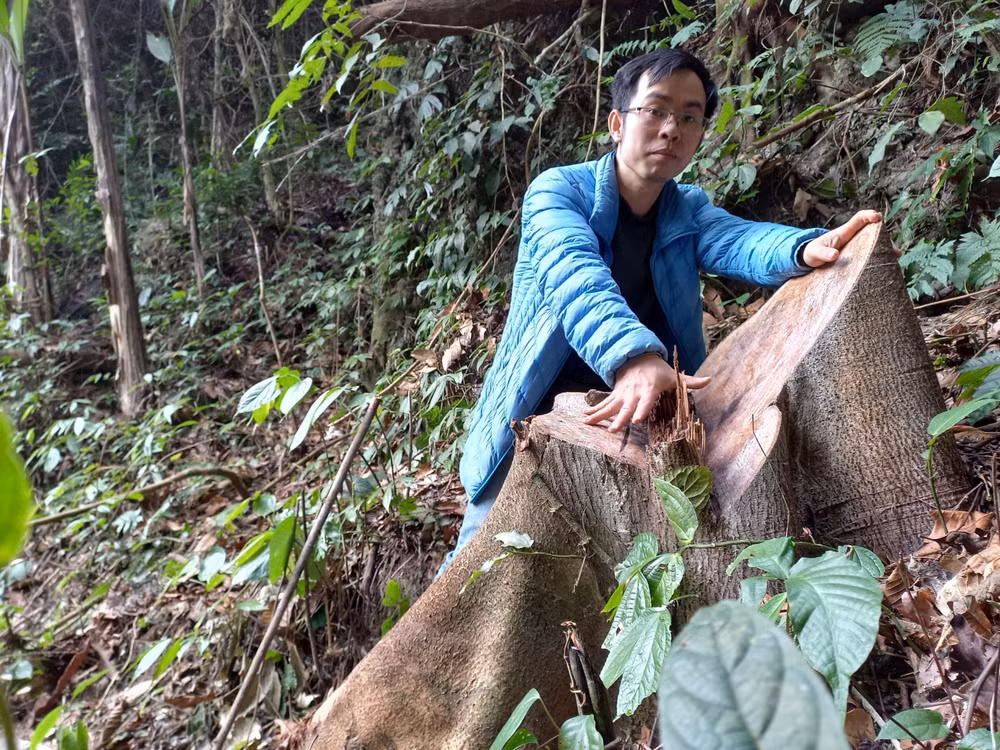 lat tay chan tuong duong di cua go lau hinh 1