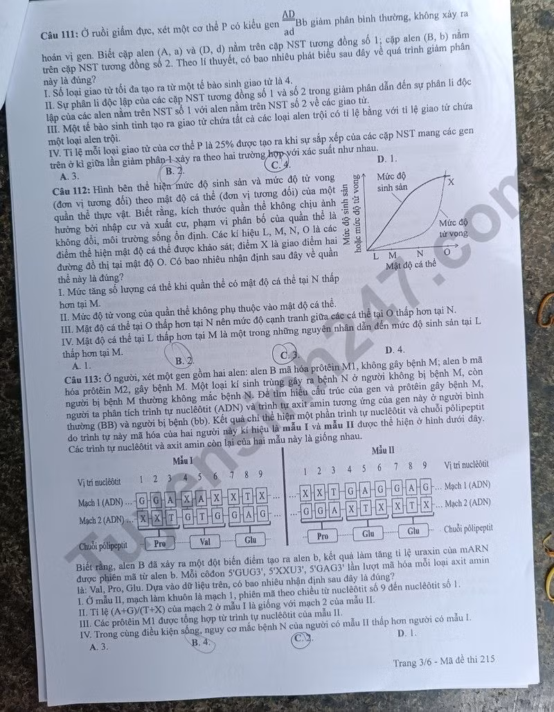 de thi tot nghiep thpt 2024 mon sinh hoc ma de 215 hinh 3