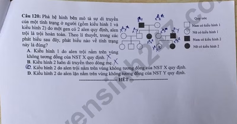 de thi tot nghiep thpt 2024 mon sinh hoc ma de 216 hinh 6