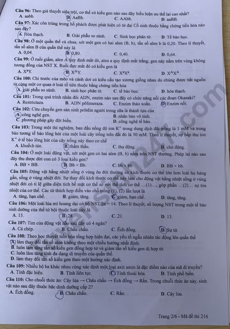 de thi tot nghiep thpt 2024 mon sinh hoc ma de 216 hinh 2