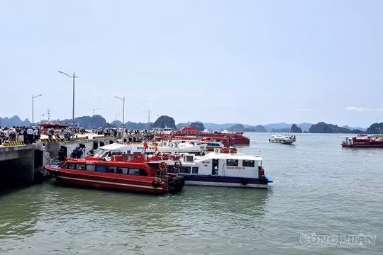 Du lịch, dịch vụ là một ngành kinh tế mũi nhọn của tỉnh.