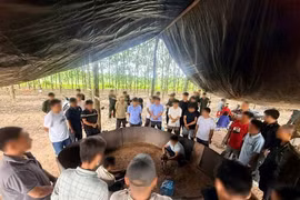 Bắt quả tang cặp vợ chồng mở sới bạc quy mô lớn, thu giữ hơn 134 triệu đồng cùng dàn ô tô