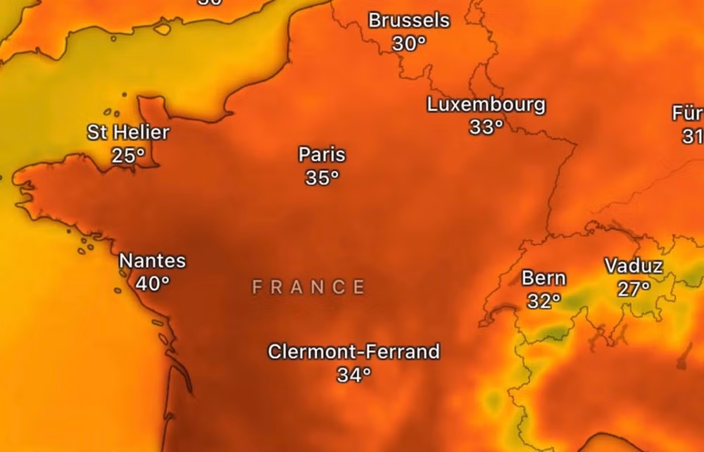 screenshot-2026-06-24-at-131945.jpg