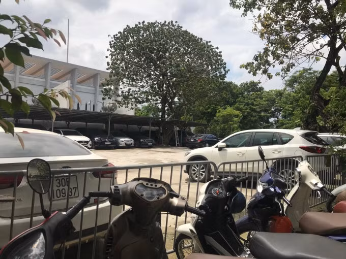 Do sự thiếu giám sát, buông lỏng quản lý của cơ quan chức năng khiến công viên Thống Nhất bị 