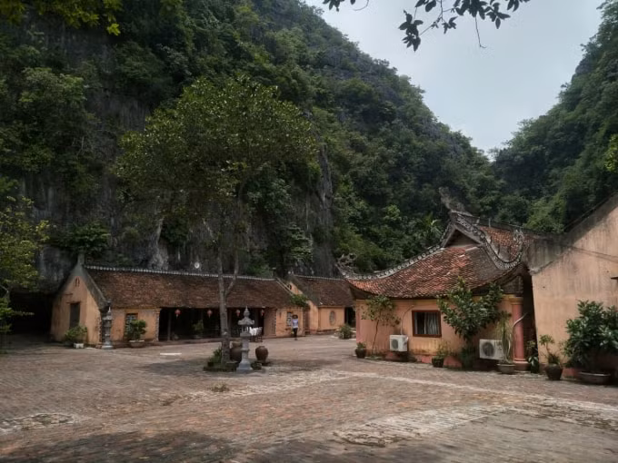 Ông Nguyễn Văn Thoa, Giám đốc DNTN Minh Thoa lại cho rằng: Cục THADA đã đưa ra bản thông báo thiếu tính cơ sở thực tiễn, chưa xem xét kỹ hồ sơ và các tình tiết diễn ra trong vụ việc, áp dụng điều luật, Nghị định cũ mà không có sự cập nhật….
