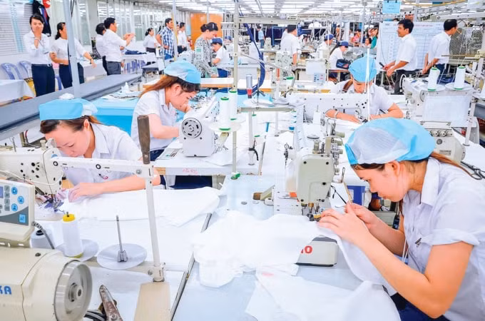Thị trường EU đang mở ra thêm những cơ hội cho hàng hóa và doanh nghiệp Việt Nam.