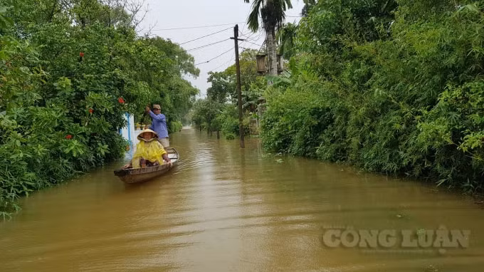 Người dân chủ yếu đi lại bằng ghe, thuyền.