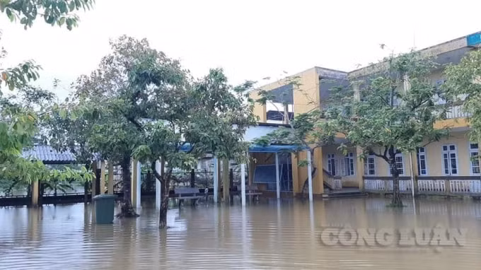 Khuôn viên trường học đã bị gập sâu.