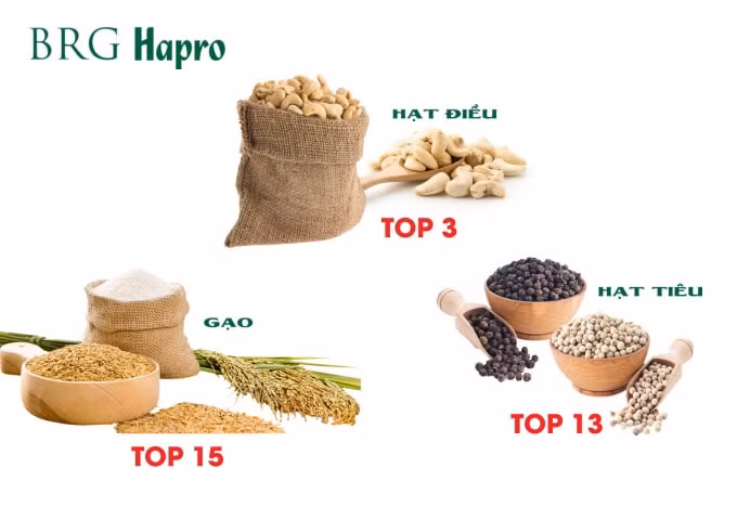 03 mặt hàng xuất khẩu chủ lực của Hapro.