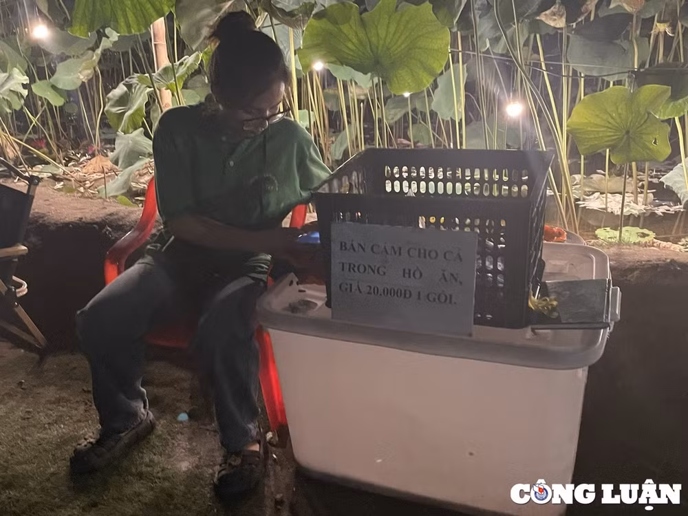 kiem diem rut kinh nghiem trong viec phai di chuyen hon 8 tan ca koi ho dam dong hinh 2