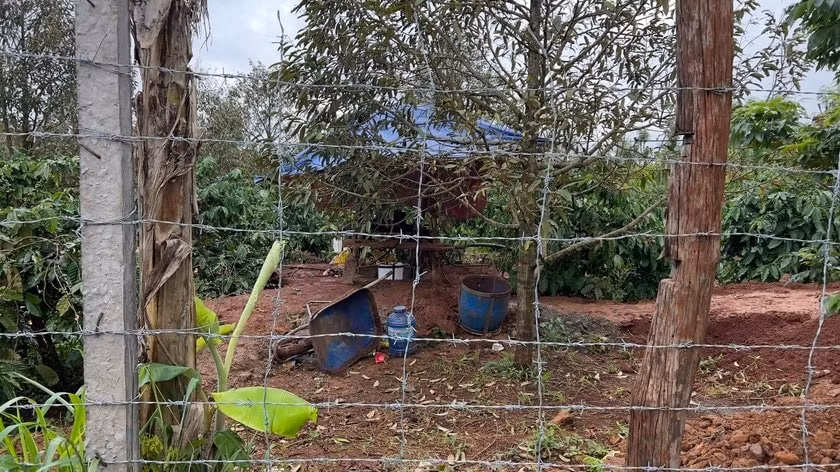 gia lai hai nguoi dan ong bi dien giat tu vong trong luc dao gieng hinh 1