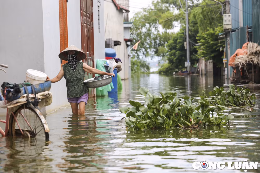 nuoc ngap bua vay ngoi lang hon 100 ho dan tre nho ra duong tap boi hinh 3