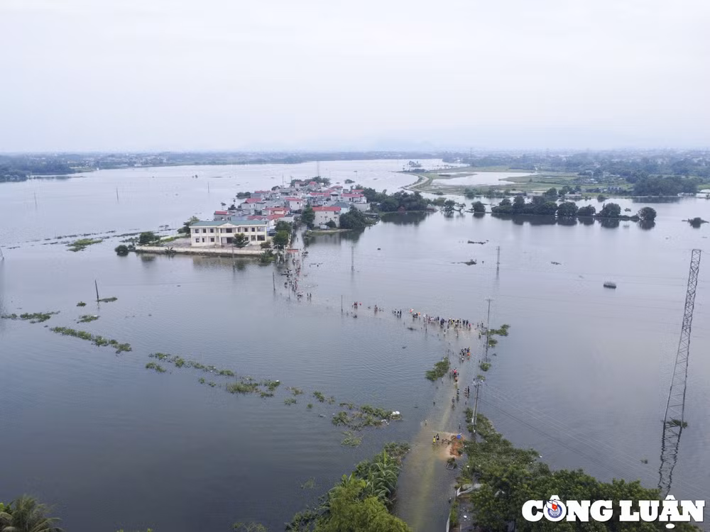 nuoc ngap bua vay ngoi lang hon 100 ho dan tre nho ra duong tap boi hinh 11