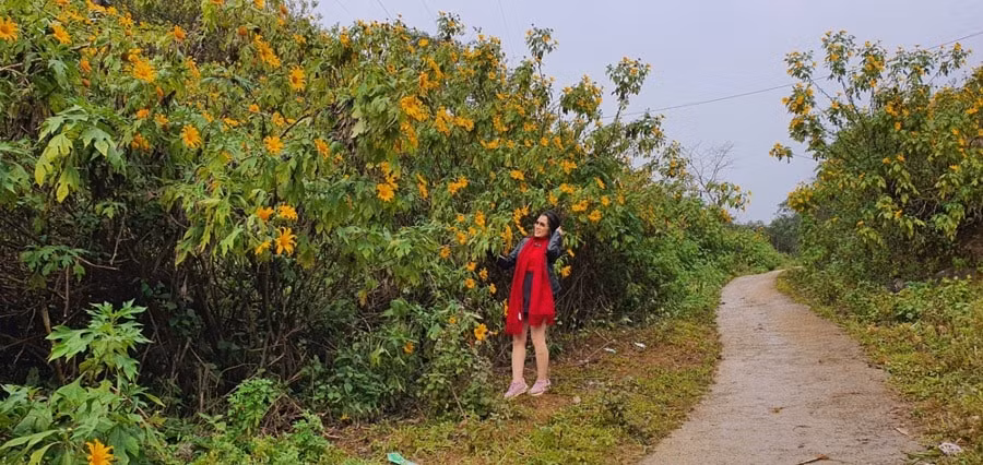 kham pha thien duong trong may sin suoi ho hinh 1