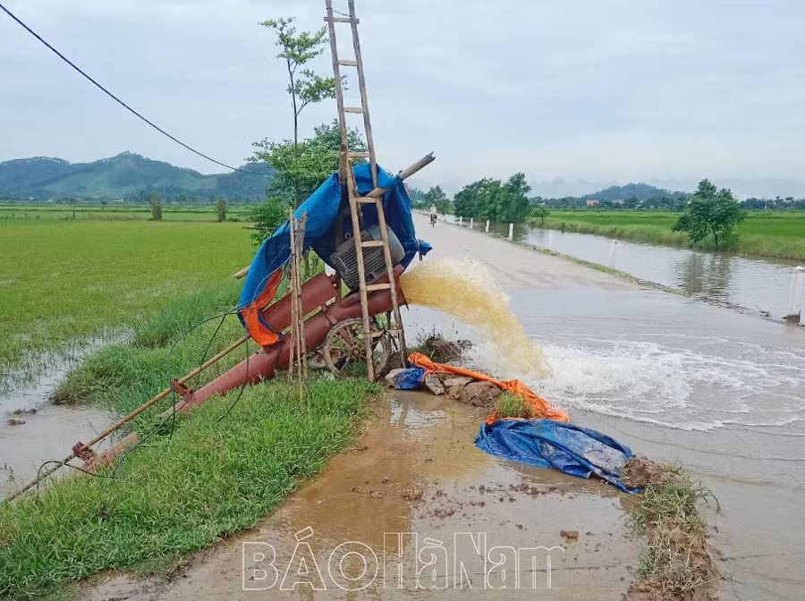 ha nam hon 5000 ha lua mua thiet hai do mua ung hinh 1