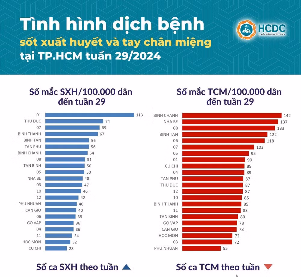 tp hcm ghi nhan hon 400 ca tay chan mieng 167 ca sot xuat huyet trong tuan 29 hinh 1