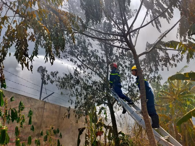 Phải tìm mọi nơi có thể tiếp cận hiện trường