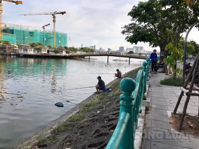 Hoạt động câu cá diễn ra ở khắp nơi