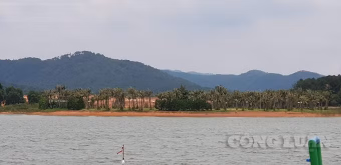 Đứng từ xa cũng có thể nhìn thấy hàng vạn mét khối đất đồi đỏ quạch được san gạt xuống lòng hồ Đại Lải.