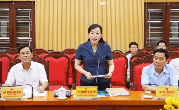 Đồng chí Nguyễn Thanh Hải, Uỷ viên Trung ương Đảng, Bí thư Tỉnh ủy Thái Nguyên phát biểu tại buổi làm việc với Công ty Cổ phần Tập đoàn T&T